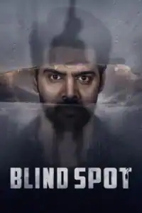 Blind Spot (2025)